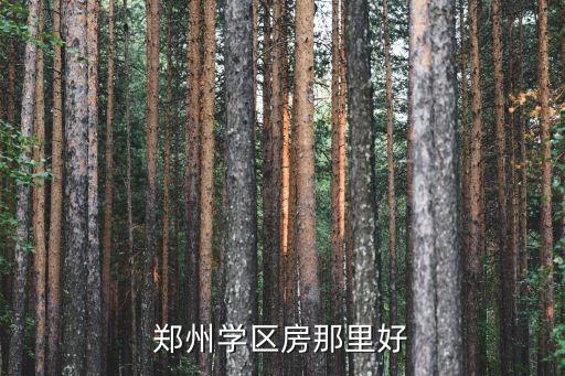 郑州学区房那里好