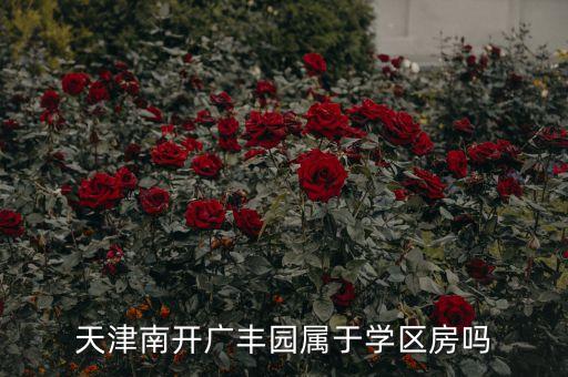 天津南开广丰园属于学区房吗
