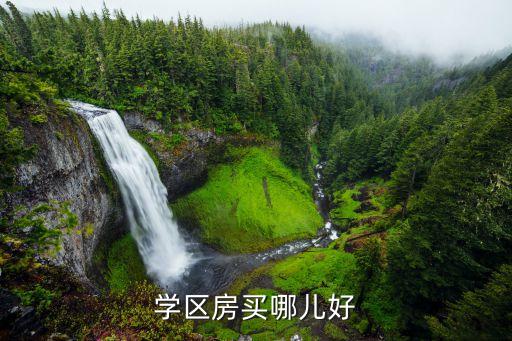 光谷学区房哪个小区好，各路大神能给几个推荐么想找一个靠近光谷绿化也不错的小区