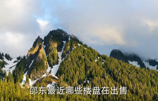 邵东最近哪些楼盘在出售