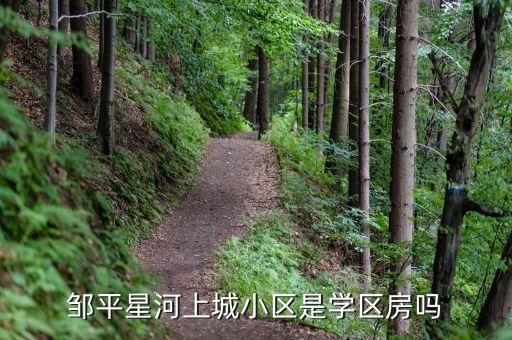 邹平学区房有哪些，都有哪些楼盘是学区房啊