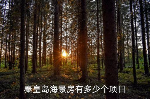 海景学区房有哪些，秦皇岛海景房有多少个项目