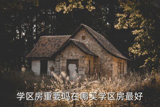 学区房重要吗在哪买学区房最好