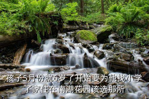 孩子5月份就6岁了开始要为他找小学了家住在南湖花园该选那所