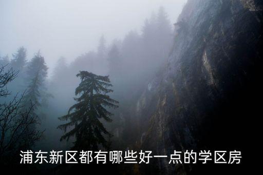 浦东新区都有哪些好一点的学区房