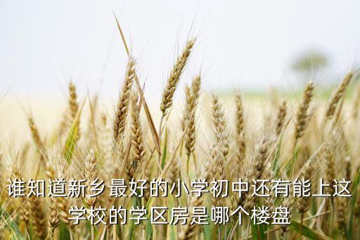 平垣哪个学区房好住些，求带居住功能的学区房子哪个区比较好