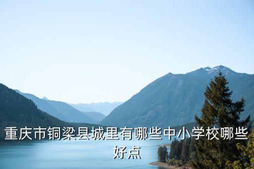 重庆市铜梁县城里有哪些中小学校哪些好点