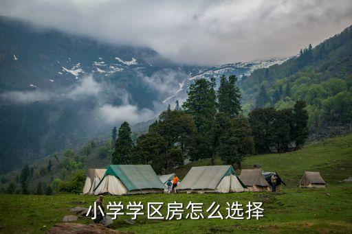 小学学区房怎么选择