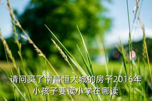 南昌新城学区房有哪些，请问买了南昌恒大城的房子2016年小孩子要读小学在哪读