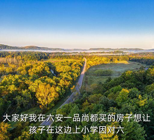 大家好我在六安一品尚都买的房子想让孩子在这边上小学因对六