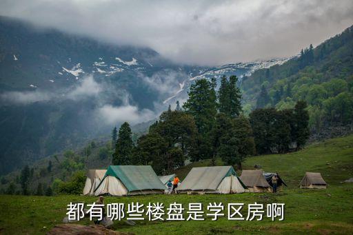 都有哪些楼盘是学区房啊