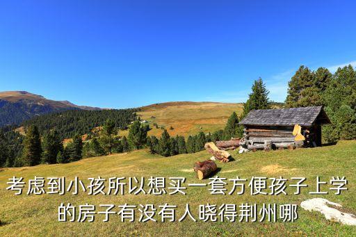 考虑到小孩所以想买一套方便孩子上学的房子有没有人晓得荆州哪