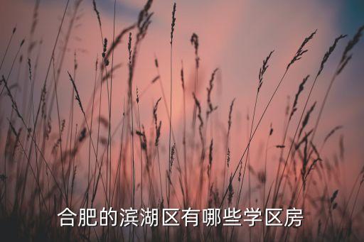 合肥学区房有哪些学校，合肥的滨湖区有哪些学区房