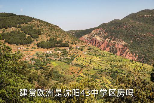 建赏欧洲是沈阳43中学区房吗