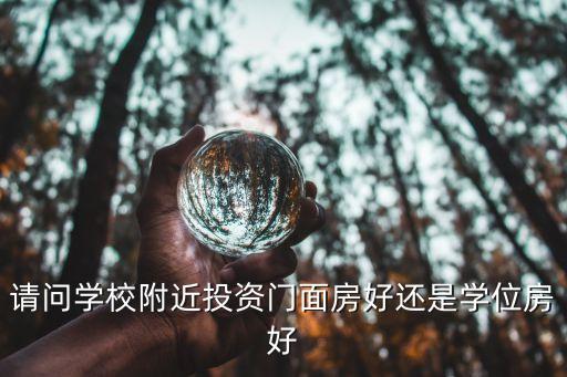 买学区房商铺哪个好租一点，请问学校附近投资门面房好还是学位房好