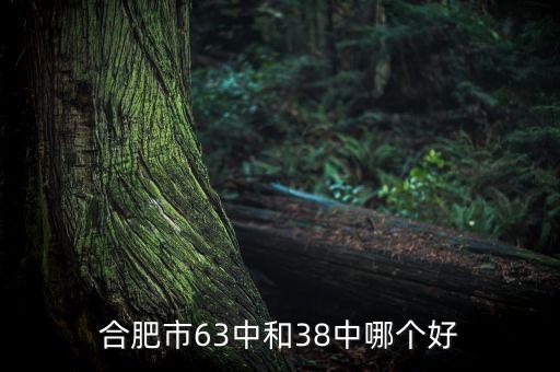 合肥市63中和38中哪个好