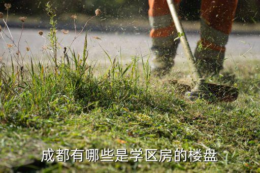 成都有哪些是学区房的楼盘