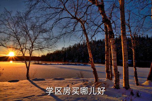 学区房买哪儿好