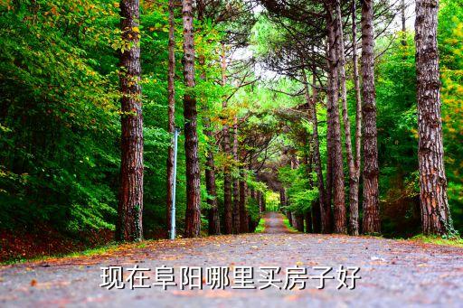 现在阜阳哪里买房子好