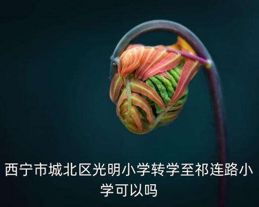 西宁市城北区光明小学转学至祁连路小学可以吗