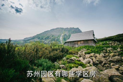 苏州园区有哪些学区房