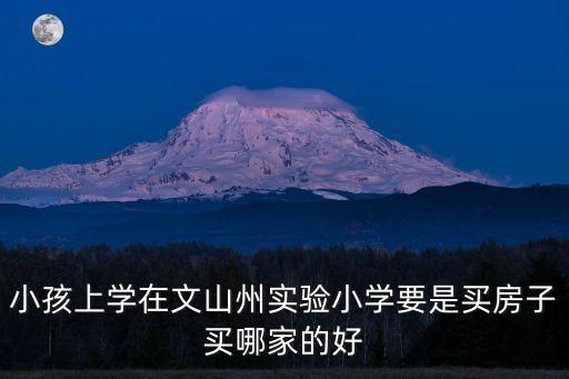 小孩上学在文山州实验小学要是买房子买哪家的好