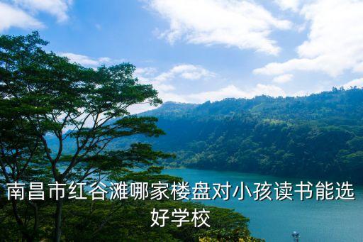 南昌市红谷滩哪家楼盘对小孩读书能选好学校