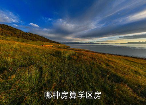 哪种房算学区房