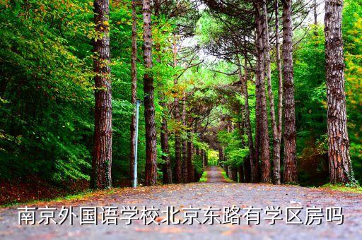 南京外国语学校北京东路有学区房吗