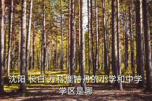 沈阳 长白 万科鹿特丹的小学和中学学区是哪