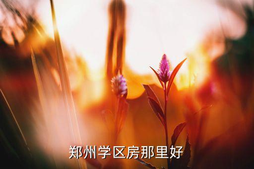郑州学区房那里好
