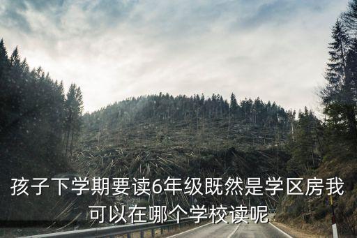 孩子下学期要读6年级既然是学区房我可以在哪个学校读呢