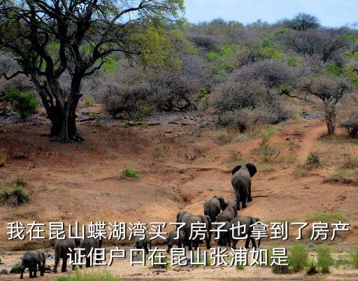 我在昆山蝶湖湾买了房子也拿到了房产证但户口在昆山张浦如是