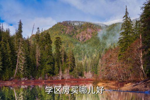 学区房买哪儿好