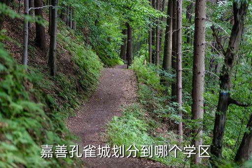 嘉善孔雀城划分到哪个学区