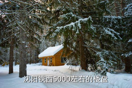 铁西学区房买哪个小区好，沈阳铁西附近哪的房子比较经济实惠