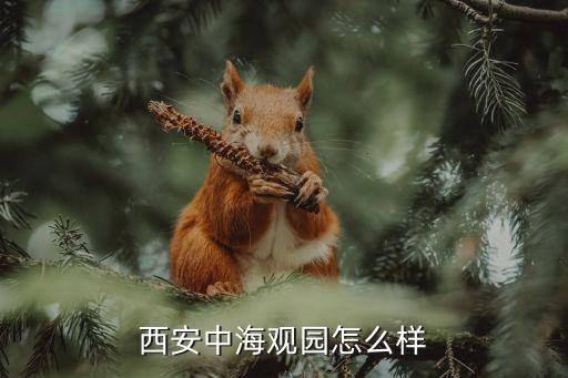西安中海观园怎么样