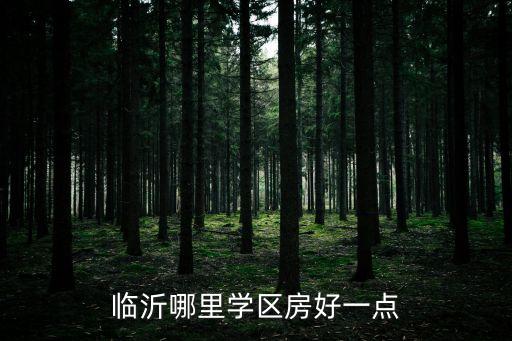 临沂哪里学区房好一点