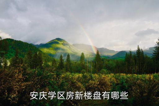 安庆学区房新楼盘有哪些