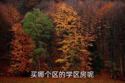 买哪个区的学区房呢