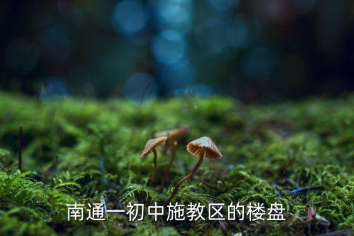 南通一初中施教区的楼盘