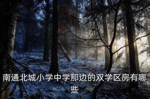 南通北城小学中学那边的双学区房有哪些