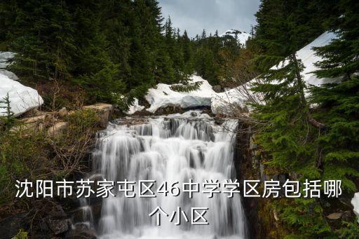 沈阳市苏家屯区46中学学区房包括哪个小区