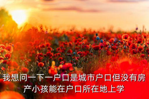 我想问一下一户口是城市户口但没有房产小孩能在户口所在地上学