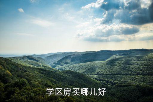 学区房买哪儿好