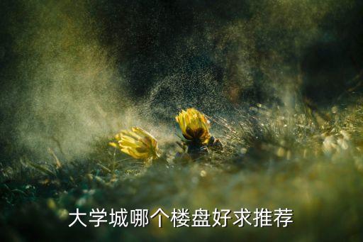 大学城哪个楼盘好求推荐