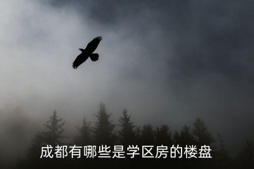 成都有哪些是学区房的楼盘