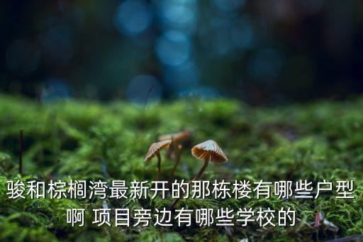 棕榈湾是哪个学校学区房，木渎棕榈湾属于哪个学区