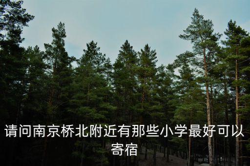 请问南京桥北附近有那些小学最好可以寄宿