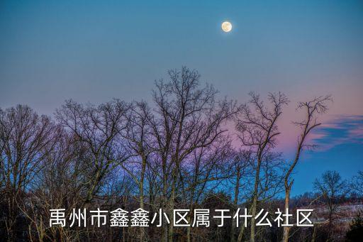 禹州市鑫鑫小区属于什么社区